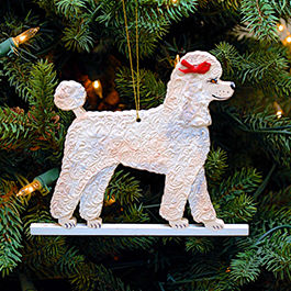 White Poodle